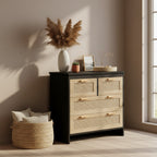 4 Drawers Rattan Cabinet,for Bedroom,Living Room,Dining Room,Hallways