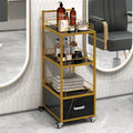 Beauty Salon Storage Trolley Cart