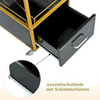 Beauty Salon Storage Trolley Cart