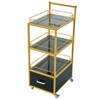 Beauty Salon Storage Trolley Cart