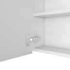 Armoire à pharmacie, trois étagères intérieures, porte simple, deux étagères extérieures, finition Wengé noir